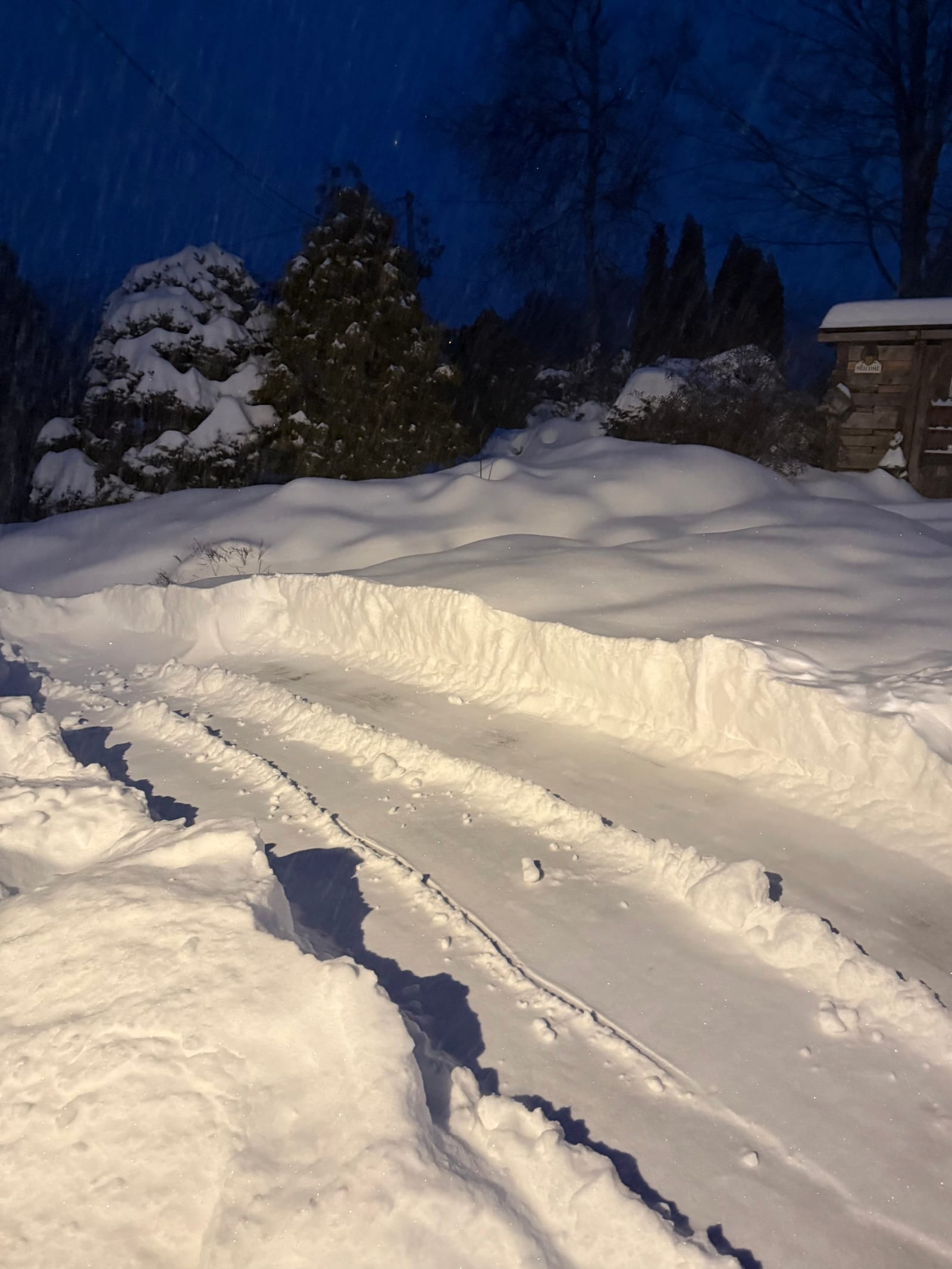 Entrée de cour résidentielle enneigée après une bordée de neige